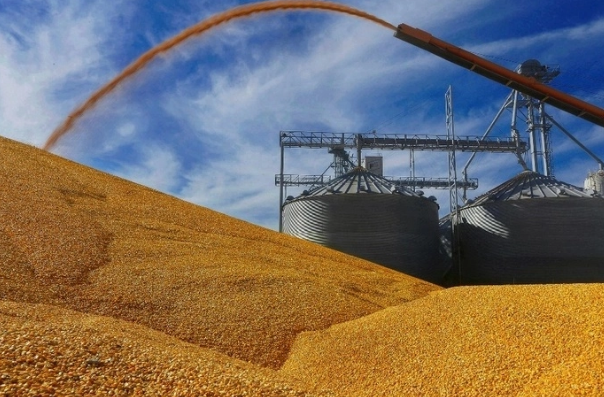México enviará hasta 22 millones de toneladas de maíz